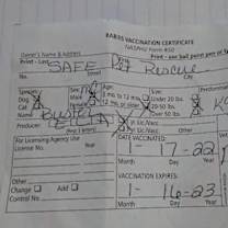 Thumbnail photo of Buster #3