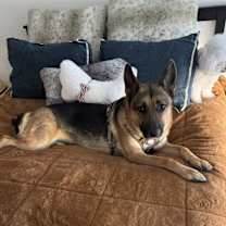 Thumbnail photo of Isabella #3