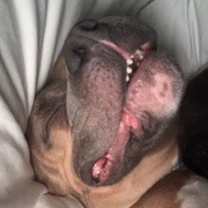 Thumbnail photo of Prince #2