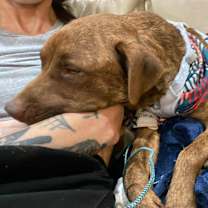 Thumbnail photo of Peanut #2