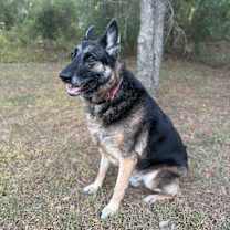 Thumbnail photo of Ranger #2