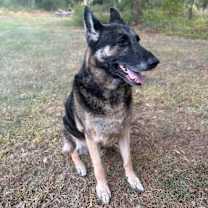 Thumbnail photo of Ranger #3