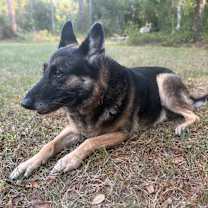 Thumbnail photo of Ranger #4