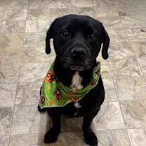 Thumbnail photo of Caleb #1