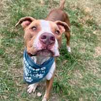 Thumbnail photo of Ripley (White Shoes) #1