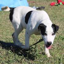 Thumbnail photo of Gabriella #4