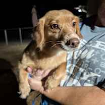 Thumbnail photo of Aubrie #2