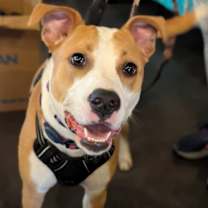 Thumbnail photo of Sky #1