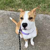 Thumbnail photo of Sky #2