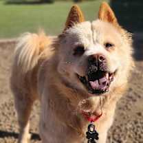 Thumbnail photo of Hinimie #2