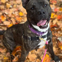 Thumbnail photo of Micah #1