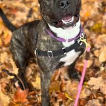 Thumbnail photo of Micah #2