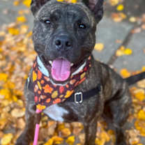 Thumbnail photo of Micah #3