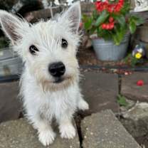 Thumbnail photo of Audrey #1