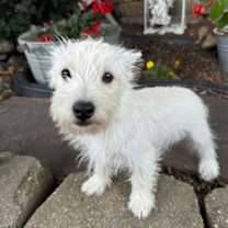 Thumbnail photo of Audrey #2