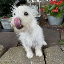 Thumbnail photo of Audrey #3