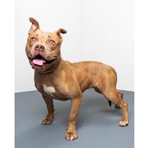 Thumbnail photo of Octavia #2