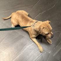 Thumbnail photo of BEAUX #2