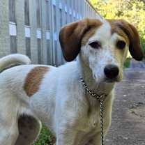 Thumbnail photo of Starr #4