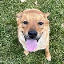 Thumbnail photo of Jason Aldean #4