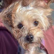 Thumbnail photo of Clara #1