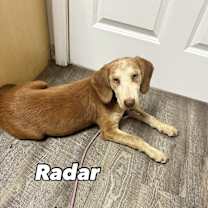 Thumbnail photo of Radar #3