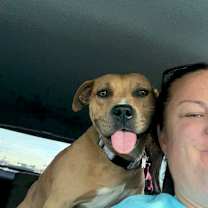 Thumbnail photo of Tawny #4