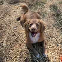 Thumbnail photo of Austin #1