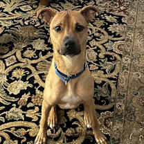 Thumbnail photo of Canyon #1