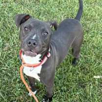 Thumbnail photo of Robert #1