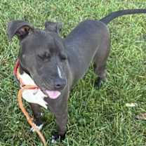 Thumbnail photo of Robert #2