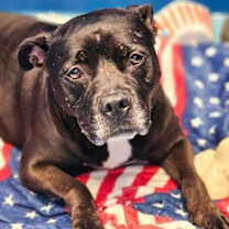 Thumbnail photo of Sasha #2