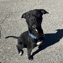 Thumbnail photo of Captain Jack Harkness #2