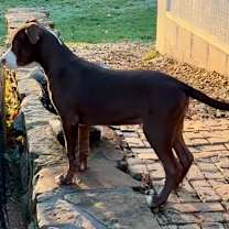 Thumbnail photo of LUKE #2