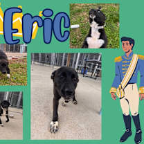 Thumbnail photo of Eric #1