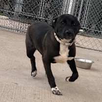 Thumbnail photo of Eric #2