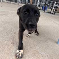 Thumbnail photo of Eric #3