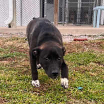 Thumbnail photo of Eric #4