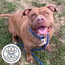 Thumbnail photo of Fendi #1