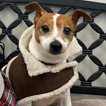 Thumbnail photo of Pogo #2