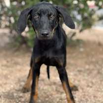 Thumbnail photo of Halo #3