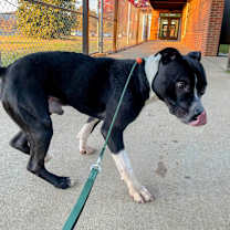 Thumbnail photo of Sebastian #3