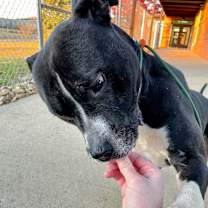 Thumbnail photo of Sebastian #4