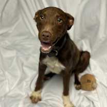 Thumbnail photo of Bernie #2