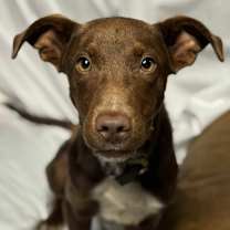 Thumbnail photo of Bernie #3