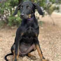 Thumbnail photo of Houston #1