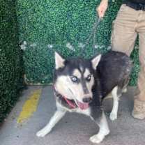 Thumbnail photo of Holly* #2