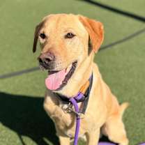 Thumbnail photo of Gunner #1