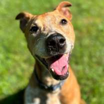 Thumbnail photo of Mitchie #1