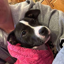 Thumbnail photo of Wednesday #1